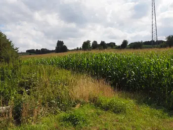 Kwaremont (Belgium)